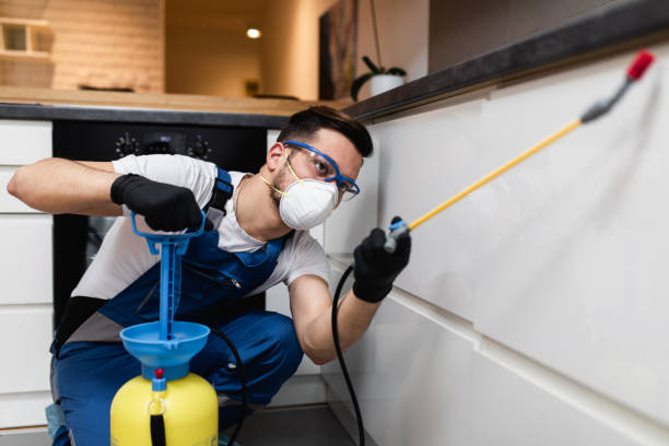 Best Commercial Pest Control Services  in Colorado City, AZ
