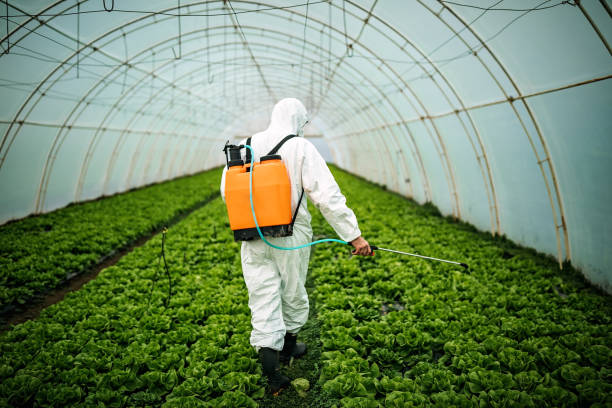 Best Emergency Pest Control  in Colorado City, AZ