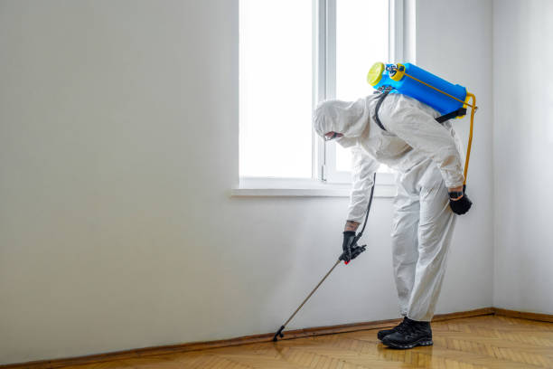Best Pest Removal Services  in Colorado City, AZ